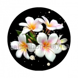 fleur exotique