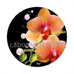 fleur exotique