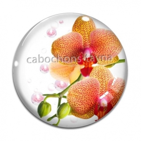 Cabochon Verre - fleur exotique
