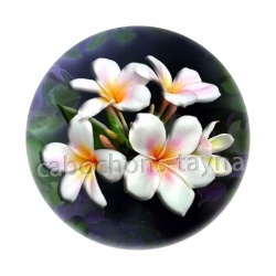 fleur exotique