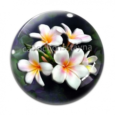 Cabochon Verre - fleur exotique