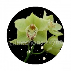 fleur exotique