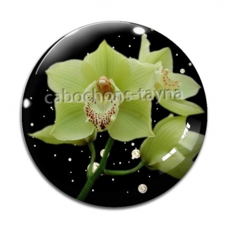 Cabochon Verre - fleur exotique