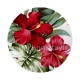 fleur exotique