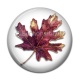 Cabochon Résine - feuille
