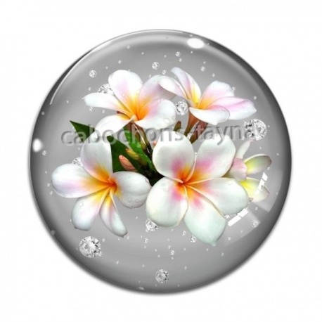 Cabochon Verre - fleur exotique