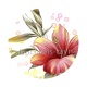 fleur exotique