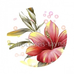 fleur exotique