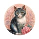chat