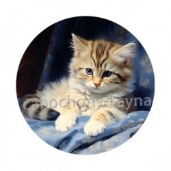 chaton