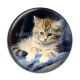 Cabochon Résine - chaton