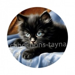 chaton