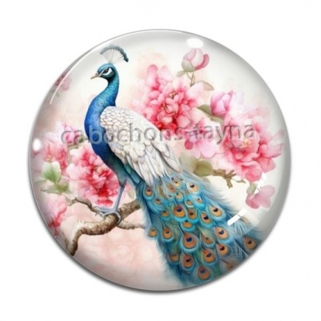 Cabochon Verre - paon