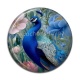 Cabochon Résine - paon