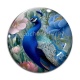 Cabochon Verre - paon