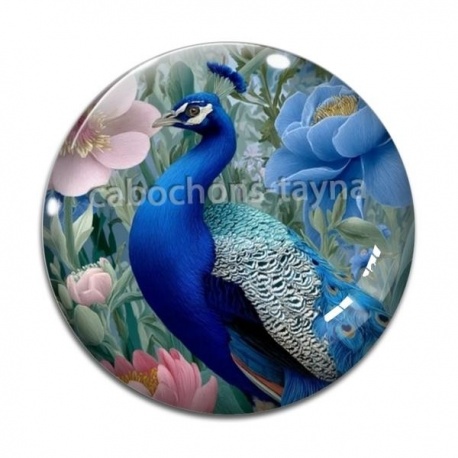 Cabochon Verre - paon