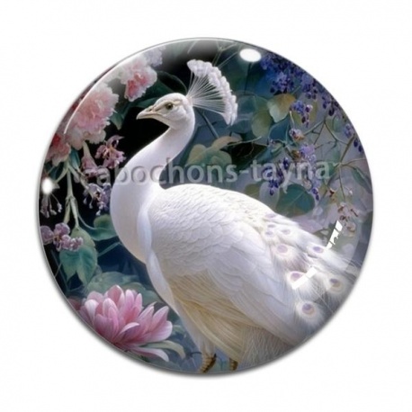 Cabochon Verre - paon