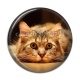 Cabochon Résine - chat