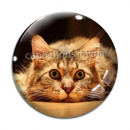 Cabochon Verre - chat