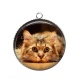 Pendentif Cabochon Argent - chat