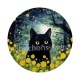 chat noir