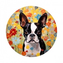 chien