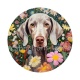 chien