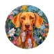 chien