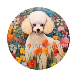 chien