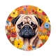 chien