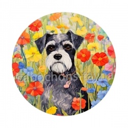 chien
