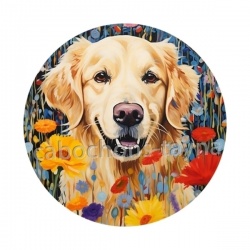 chien