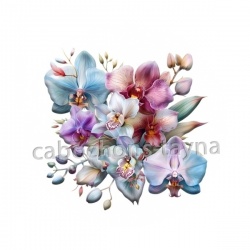 fleur exotique