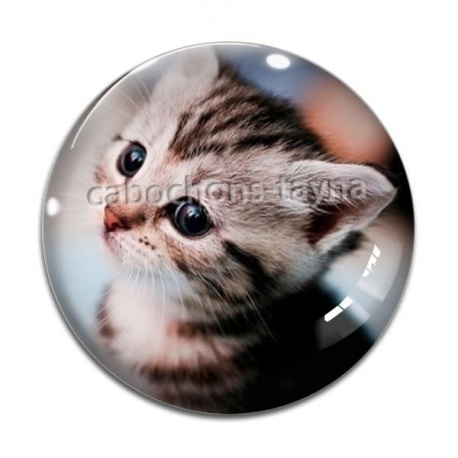 Cabochon Verre - chaton