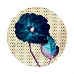 coquelicot