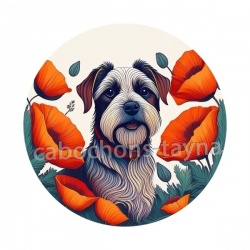 chien coquelicot