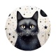 chat noir cosmos
