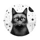chat noir cosmos