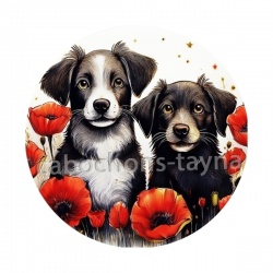chien