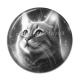 Cabochon Résine - chat