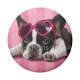 chien