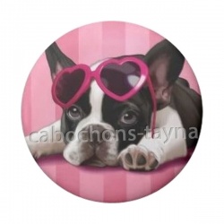 chien