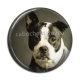 Cabochon Résine - chien