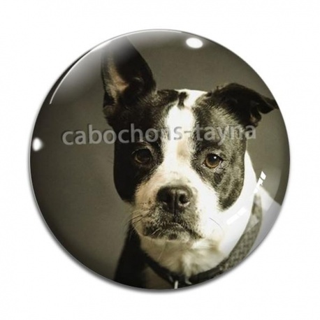Cabochon Verre - chien
