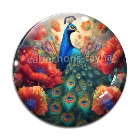 Cabochon Verre - paon coquelicot