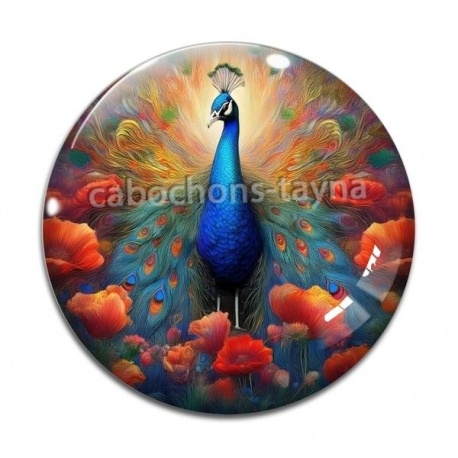 Cabochon Verre - paon coquelicot
