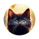 chat