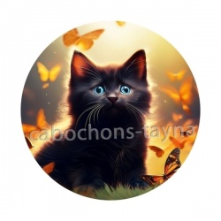 chaton