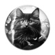 Cabochon Verre - chat