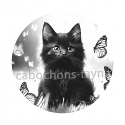 chaton